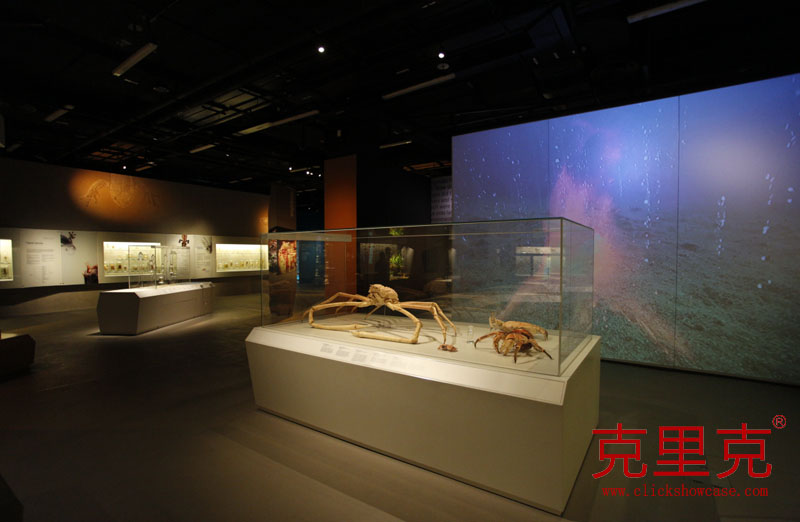 博物館桌式展柜尺寸設(shè)計(jì)標(biāo)準(zhǔn) 博物館桌式展柜尺寸設(shè)計(jì)標(biāo)準(zhǔn)