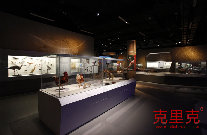 自然博物館展柜設(shè)計(jì)的三大原則 自然博物館展柜設(shè)計(jì)的三大原則