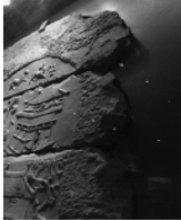 1646284752888546.png image.png