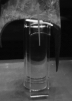 1646284779412973.png image.png