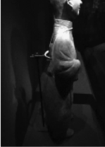 1646284792923486.png image.png