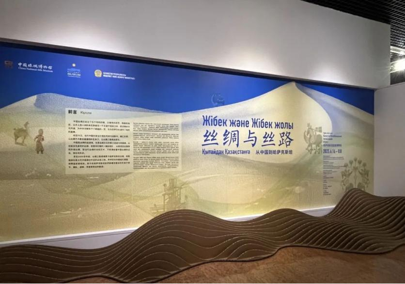 1750309535481869.png 01.webp.png